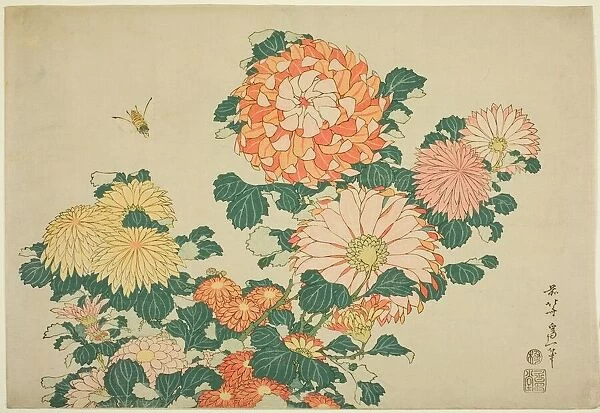 Chrysanthemums and Bee, from an untitled series of Large Flowers, Japan, c. 1831-33