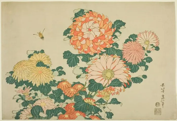 Framed Print : Chrysanthemums and Bee, from an untitled series of Large Flowers, Japan, c. 1831-33 Framed Print : Chrysanthemums and Bee, from an untitled series of Large Flowers, Japan, c. 1831-33