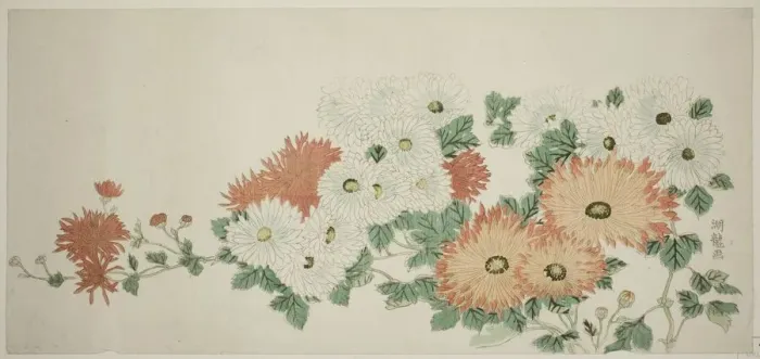 Framed Print : Chrysanthemums, c. 1780. Creator: Isoda Koryusai Framed Print : Chrysanthemums, c. 1780. Creator: Isoda Koryusai