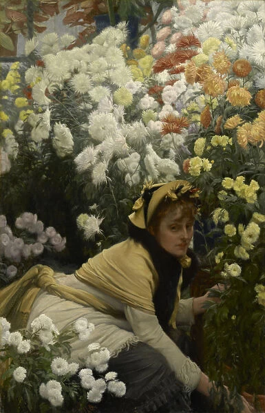 Chrysanthemums, c. 1875