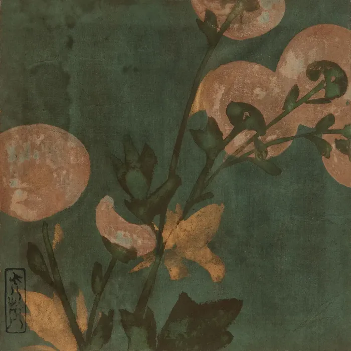 Framed Print : Chrysanthemums, Edo period, late 16th-early 17th century. Creator: Hon'ami Koetsu Framed Print : Chrysanthemums, Edo period, late 16th-early 17th century. Creator: Hon'ami Koetsu