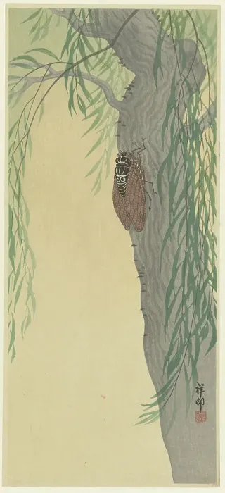 Framed Print : Cicada on tree. Creator: Ohara, Koson (1877-1945) Framed Print : Cicada on tree. Creator: Ohara, Koson (1877-1945)