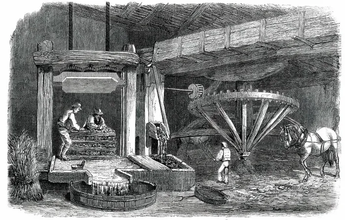 Framed Print : Cider-Making in Devonshire - Pound-House - the Mill and Press - Piling The Mock, 1850. Creator: Unknown. Cider-Making in Devonshire - Pound-House - the Mill and Press - Piling The Mock, 1850. Creator: Unknown