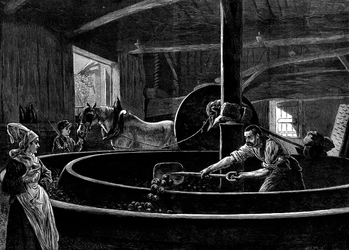 Framed Print : Cider-making in Normandy, 1873. Creator: Jenkin Framed Print : Cider-making in Normandy, 1873. Creator: Jenkin