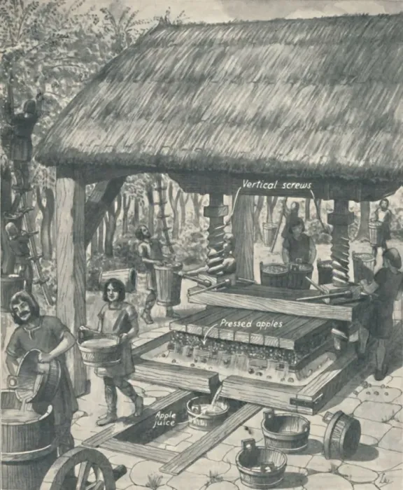 Framed Print : The Cider Press in the Middle Ages, c1934 Framed Print : The Cider Press in the Middle Ages, c1934