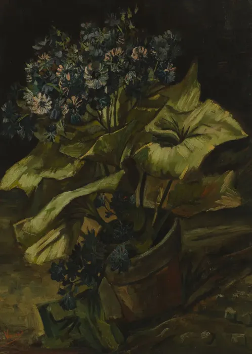 Framed Print : Cineraria, 1886. Artist: Gogh, Vincent, van (1853-1890) Framed Print : Cineraria, 1886. Artist: Gogh, Vincent, van (1853-1890)