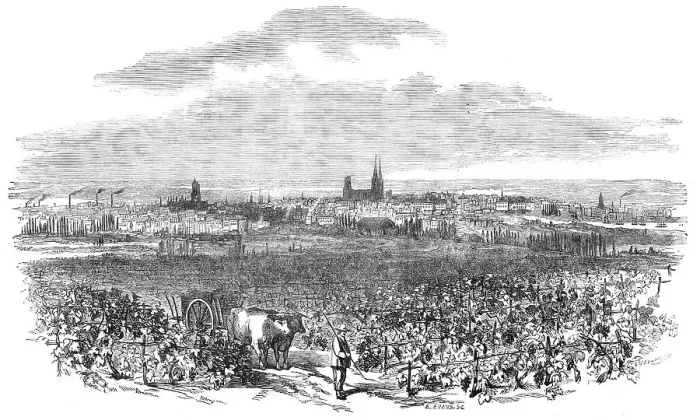 Framed Print : The City of Bordeaux, 1854. Creator: Edmund Evans Framed Print : The City of Bordeaux, 1854. Creator: Edmund Evans