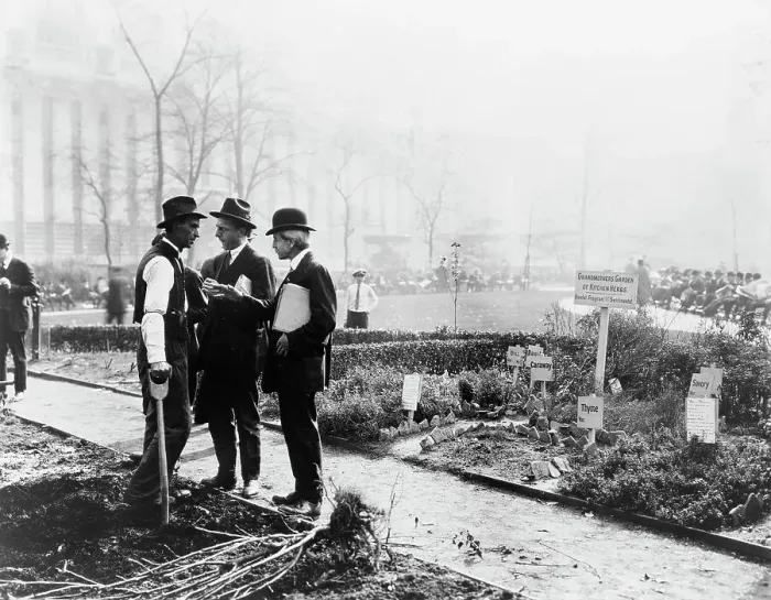 Framed Print : City experiment in gardening, New York City, c1922. Creator: Frances Benjamin Johnston Framed Print : City experiment in gardening, New York City, c1922. Creator: Frances Benjamin Johnston