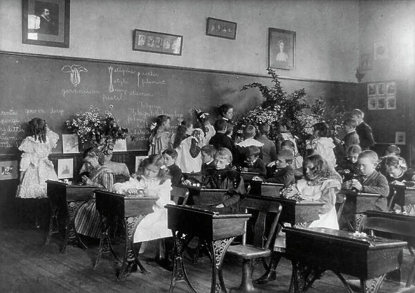 A class in flowers, 6th Division, (1899?). Creator: Frances Benjamin Johnston