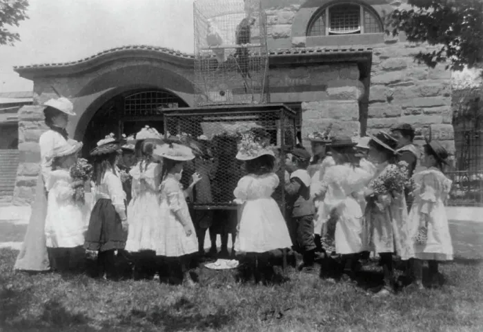 Framed Print : A class at the zoo - the bird cage, (1899?). Creator: Frances Benjamin Johnston Framed Print : A class at the zoo - the bird cage, (1899?). Creator: Frances Benjamin Johnston