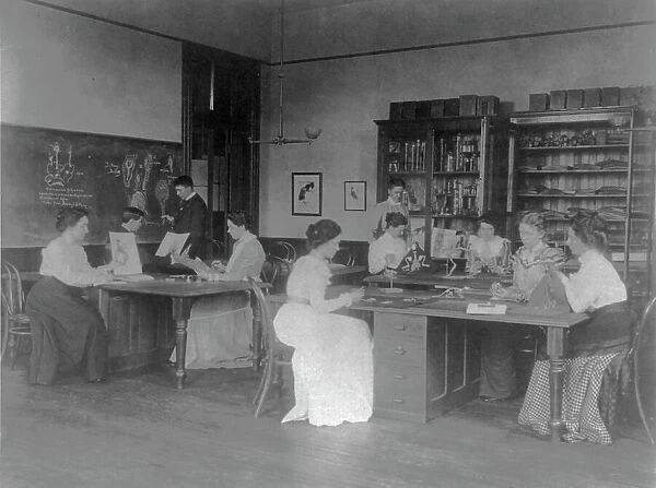 Classroom scenes in Washington, D.C. public schools - zoology class at Eastern High School, (1899?). Creator: Frances Benjamin Johnston