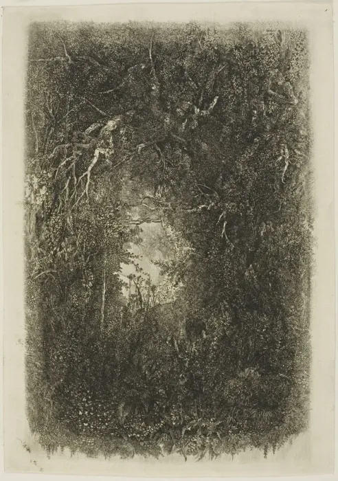 Framed Print : Clearing in the Forest, 1880. Creator: Rodolphe Bresdin Framed Print : Clearing in the Forest, 1880. Creator: Rodolphe Bresdin