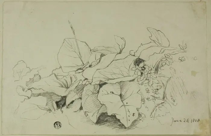 Framed Print : Clump of Leaves and Flowers, 1808 / 47. Creator: Joshua Cristall Framed Print : Clump of Leaves and Flowers, 1808 / 47. Creator: Joshua Cristall