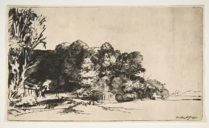 Framed Print : Clump of Trees with a Vista, 1652. Creator: Rembrandt Harmensz van Rijn Framed Print : Clump of Trees with a Vista, 1652. Creator: Rembrandt Harmensz van Rijn