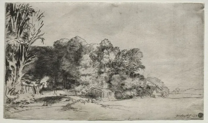 Framed Print : Clump of Trees with a Vista, 1652. Creator: Rembrandt van Rijn (Dutch, 1606-1669) Framed Print : Clump of Trees with a Vista, 1652. Creator: Rembrandt van Rijn (Dutch, 1606-1669)