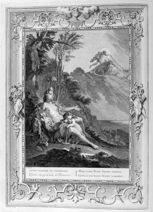 Framed Print : Clytia Turned into a Turnesole, 1733. Artist: Bernard Picart Framed Print : Clytia Turned into a Turnesole, 1733. Artist: Bernard Picart
