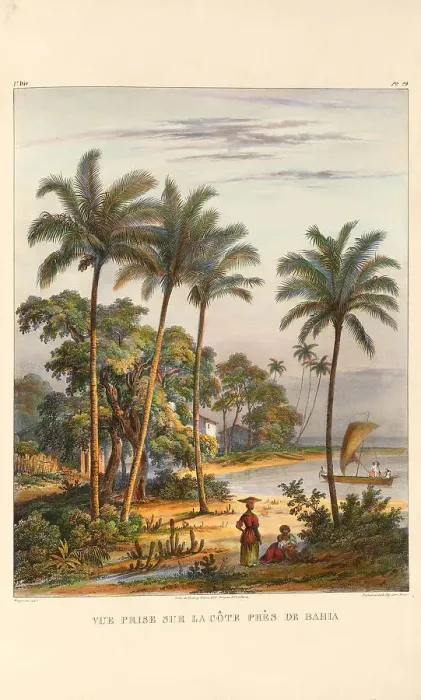 Framed Print : The coast near Bahia. From Voyage pittoresque dans le Brésil, 1835. Creator: Rugendas, Johann Moritz (1802-1858). The coast near Bahia. From Voyage pittoresque dans le Brésil, 1835 Framed Print : The coast near Bahia. From Voyage pittoresque dans le Brésil, 1835. Creator: Rugendas, Johann Moritz (1802-1858). The coast near Bahia. From Voyage pittoresque dans le Brésil, 1835