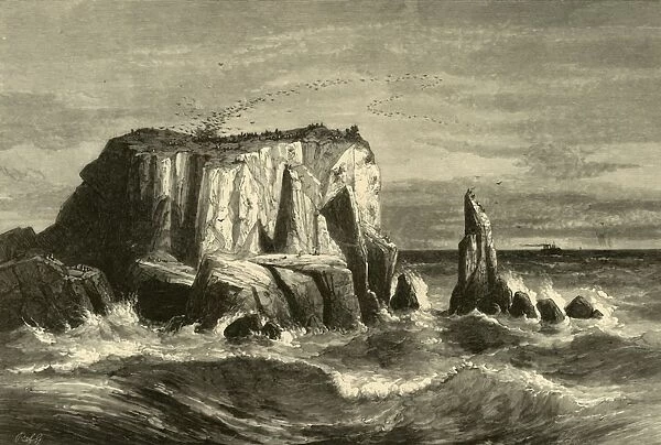 Coast Scene, Marin County, 1872. Creator: Andrew Varick Stout Anthony