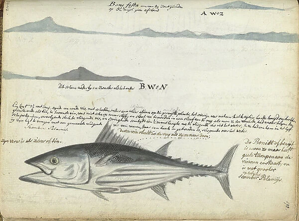 Coastal profiles of the Canary Islands, and Fish, 1778. Creator: Jan Brandes