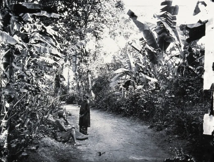 Framed Print : Cochin China [Vietnam], 1867, (1981). Creator: Unknown