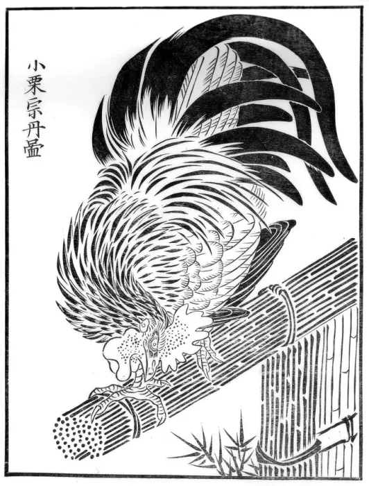 Framed Print : Cock, 15th century (1886) Framed Print : Cock, 15th century (1886)