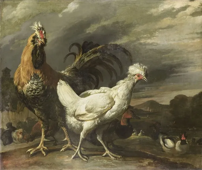 Framed Print : Cock, a Hen and other Poultry, 1670-1690. Creator: Pieter Jansz van Ruyven Framed Print : Cock, a Hen and other Poultry, 1670-1690. Creator: Pieter Jansz van Ruyven