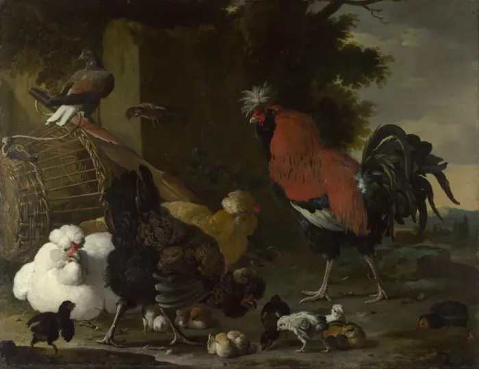 Framed Print : A Cock, Hens and Chicks, ca 1668-1670. Artist: Hondecoeter, Melchior de (1636-1695) Framed Print : A Cock, Hens and Chicks, ca 1668-1670. Artist: Hondecoeter, Melchior de (1636-1695)