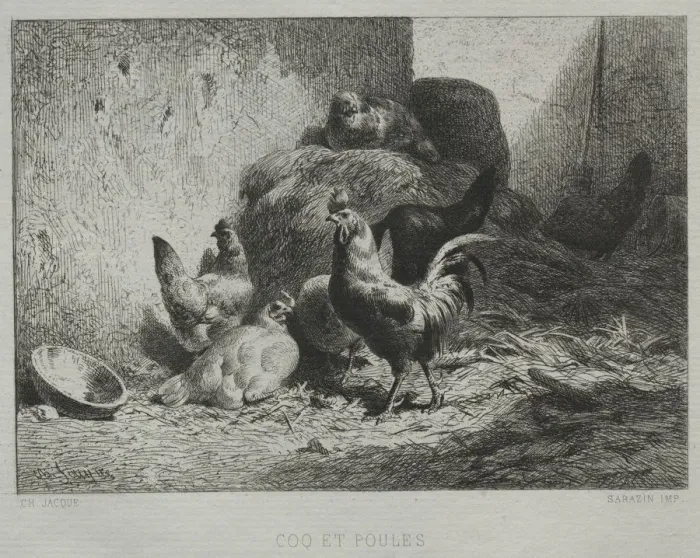 Framed Print : Cock and Hens. Creator: Charles-Emile Jacque (French, 1813-1894) Framed Print : Cock and Hens. Creator: Charles-Emile Jacque (French, 1813-1894)