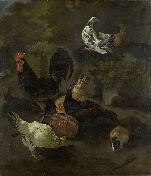 A Cock, Hens, Doves, and a Marmot, 1674. Creator: Jacomo Victors