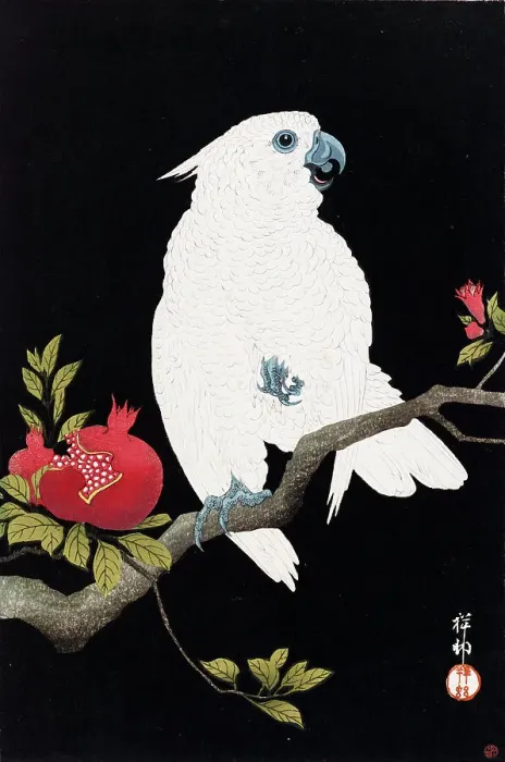 Framed Print : Cockatoo and pomegranate, 1930. Creator: Ohara Koson Framed Print : Cockatoo and pomegranate, 1930. Creator: Ohara Koson