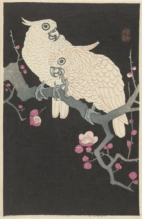 Framed Print : Two cockatoos on branch with plum blossom, 1925-1936. Creator: Ohara, Koson (1877-1945) Framed Print : Two cockatoos on branch with plum blossom, 1925-1936. Creator: Ohara, Koson (1877-1945)
