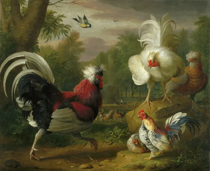 Framed Print : The Cockrel's Fight, 1700-1720. Creator: Jakub Bogdan. The Cockrel's Fight, 1700-1720. Creator: Jakub Bogdan Framed Print : The Cockrel's Fight, 1700-1720. Creator: Jakub Bogdan. The Cockrel's Fight, 1700-1720. Creator: Jakub Bogdan
