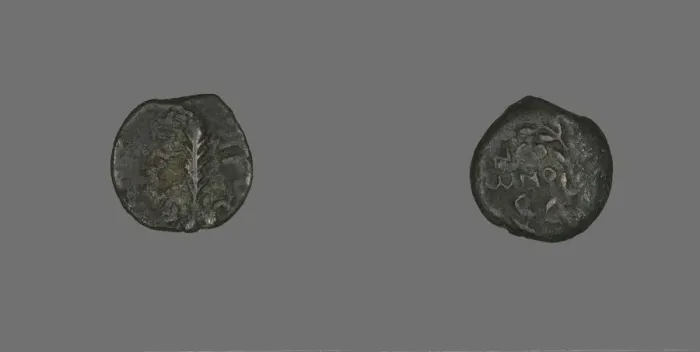 Framed Print : Coin Depicting a Palm Branch, 58-59, Procurator-Antonius Felix (Neros reign) Framed Print : Coin Depicting a Palm Branch, 58-59, Procurator-Antonius Felix (Neros reign)