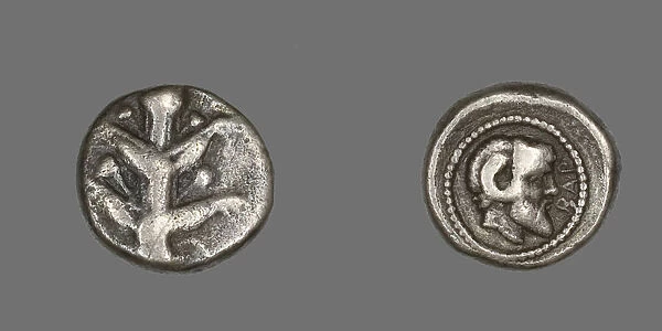 Coin Depicting Silphium Plant, 480-435 BCE. Creator: Unknown