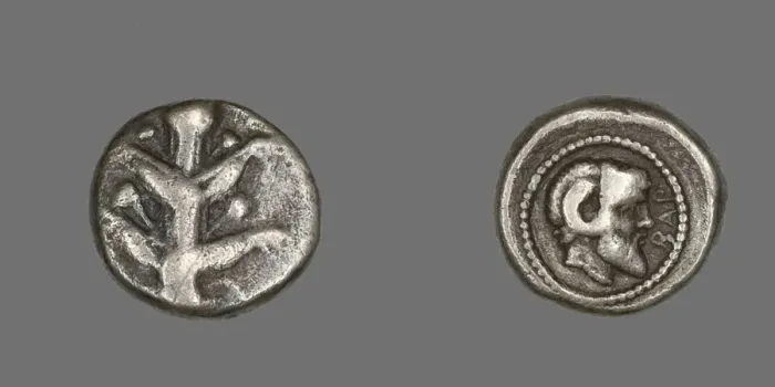 Framed Print : Coin Depicting Silphium Plant, 480-435 BCE. Creator: Unknown Framed Print : Coin Depicting Silphium Plant, 480-435 BCE. Creator: Unknown