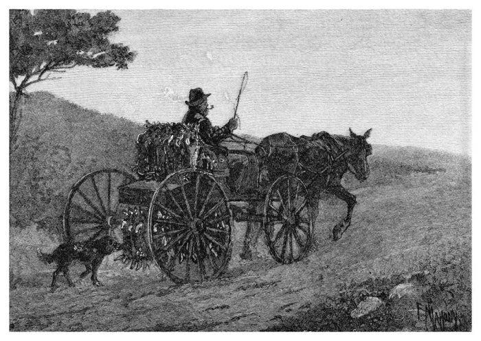Framed Print : A Colac Rabbit Trapper, 1886. Artist: Frederic B Schell Framed Print : A Colac Rabbit Trapper, 1886. Artist: Frederic B Schell