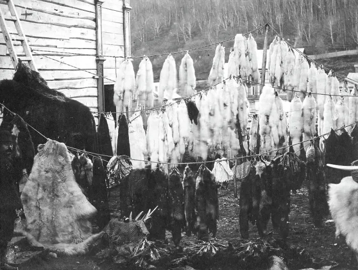 Framed Print : Collected furs in the city of Petropavlovsk-Kamchatsky. 1910-1929. Creator: Ivan Emelianovich Larin Framed Print : Collected furs in the city of Petropavlovsk-Kamchatsky. 1910-1929. Creator: Ivan Emelianovich Larin