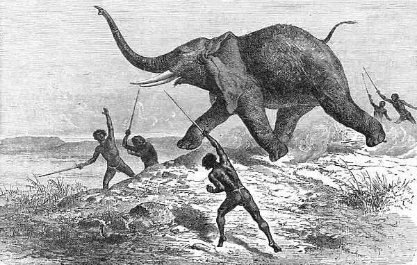 Collecting Ivory; Life in a South African Colony, 1875. Creator: Unknown