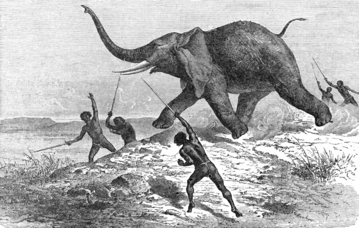 Framed Print : Collecting Ivory; Life in a South African Colony, 1875. Creator: Unknown Framed Print : Collecting Ivory; Life in a South African Colony, 1875. Creator: Unknown