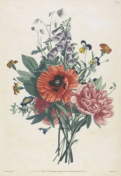 Collection of Flowers and Fruits Painted after Nature: Bouquet of Foxglove, Clematis