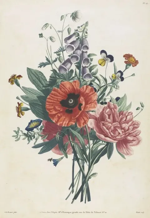 Framed Print : Collection of Flowers and Fruits Painted after Nature: Bouquet of Foxglove, Clematis Framed Print : Collection of Flowers and Fruits Painted after Nature: Bouquet of Foxglove, Clematis