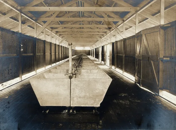 Framed Print : Colon, Panama: interior of the municipal wash house, 1910. Creator: Unknown Framed Print : Colon, Panama: interior of the municipal wash house, 1910. Creator: Unknown