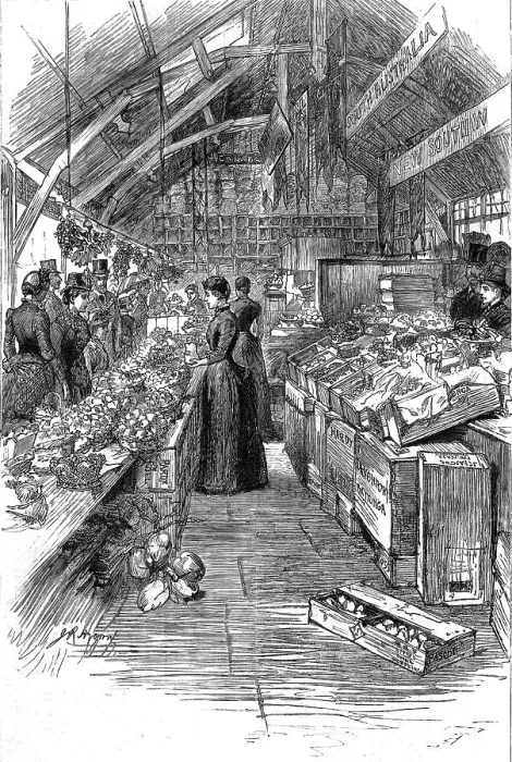 Framed Print : The Colonial and Indian Exhibition; The Australian fruit stalls in the Colonial Market, 1886. Creator: Unknown Framed Print : The Colonial and Indian Exhibition; The Australian fruit stalls in the Colonial Market, 1886. Creator: Unknown
