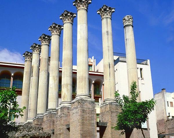 Columns by the current City Council of Cordoba