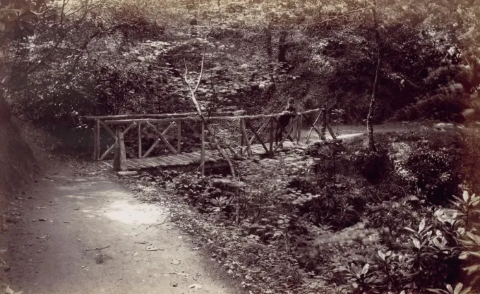 Framed Print : Colwyn Bay. Rustic Bridge in the Wood, 1870s. Creator: Francis Bedford Framed Print : Colwyn Bay. Rustic Bridge in the Wood, 1870s. Creator: Francis Bedford