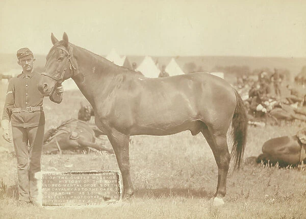 Comanche, the only survivor of the Custer Massacre, 1876 History of the horse and regimental...1887. Creator: John C. H. Grabill