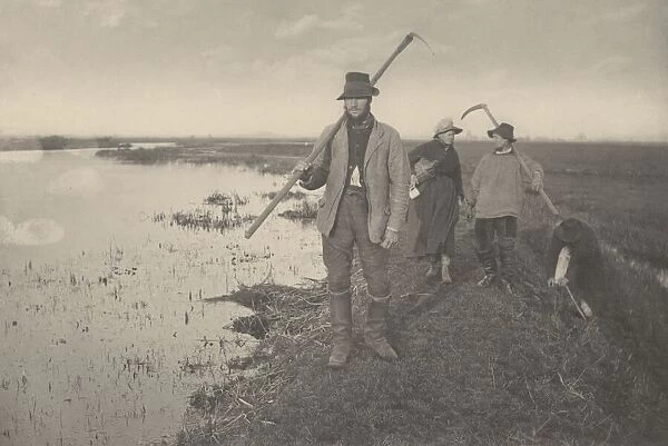 Coming Home from the Marshes, 1886. Creators: Dr Peter Henry Emerson