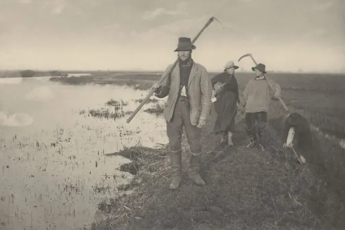 Framed Print : Coming Home from the Marshes, 1886. Creators: Dr Peter Henry Emerson