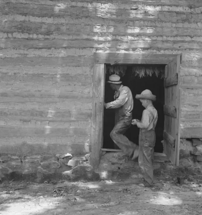 Framed Print : Coming out of tobacco barn in which tobacco is being cured, Granville County, North Carolina, 1939. Creator: Dorothea Lange Framed Print : Coming out of tobacco barn in which tobacco is being cured, Granville County, North Carolina, 1939. Creator: Dorothea Lange