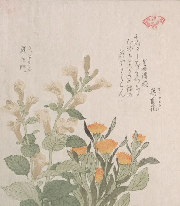Framed Print : The Common Marigold and The Rajoman Flowers, 19th century. Creator: Kubo Shunman Framed Print : The Common Marigold and The Rajoman Flowers, 19th century. Creator: Kubo Shunman